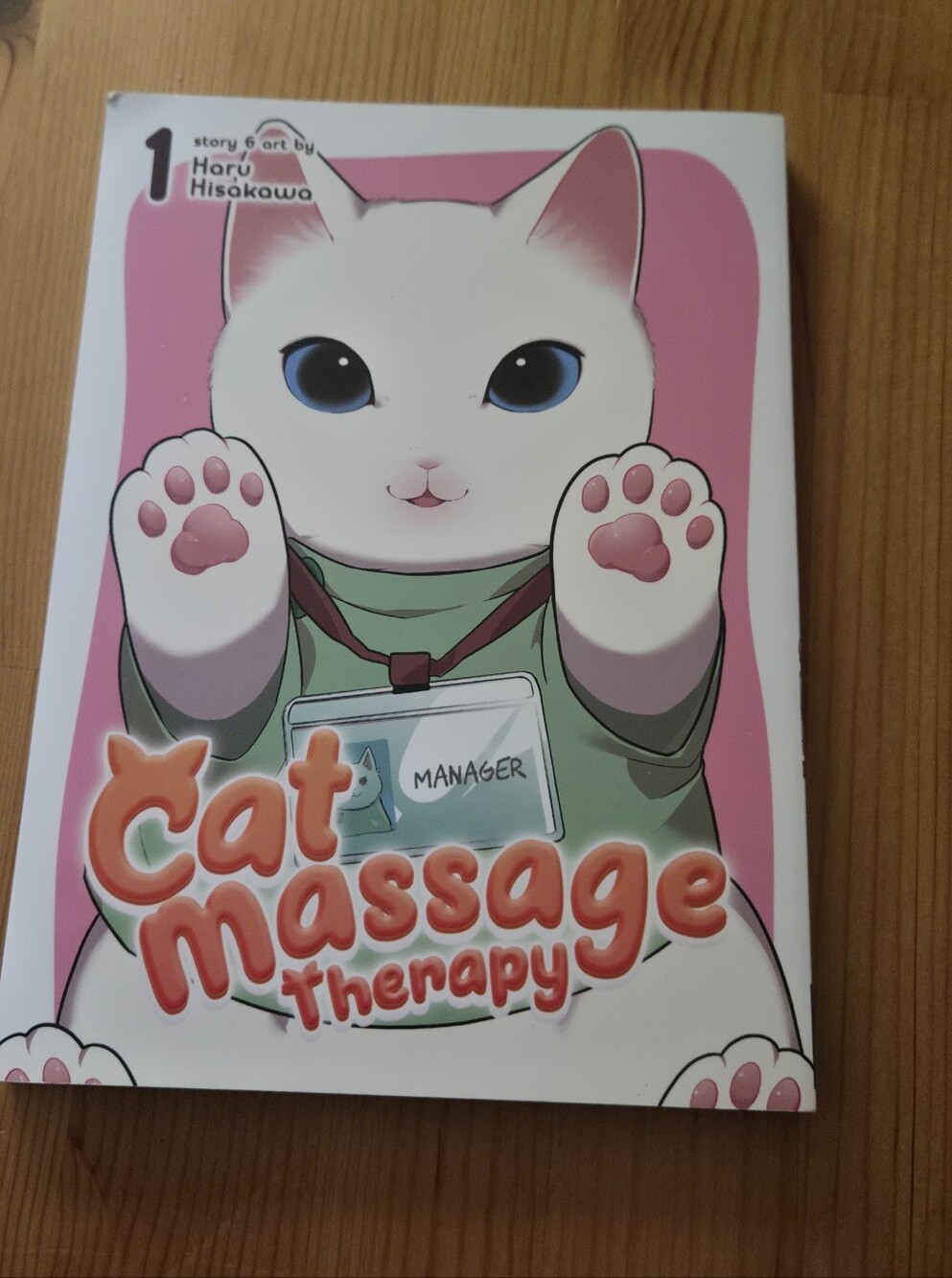 Cat Massage Therapy manga book
